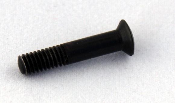 Mk1 and Mk2 Foresight Protector Screw